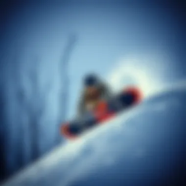 Magnificent Exploring the Bataleon Wallie: An In-Depth Analysis Magnificent Exploring the Bataleon Wallie: An In-Depth Analysis