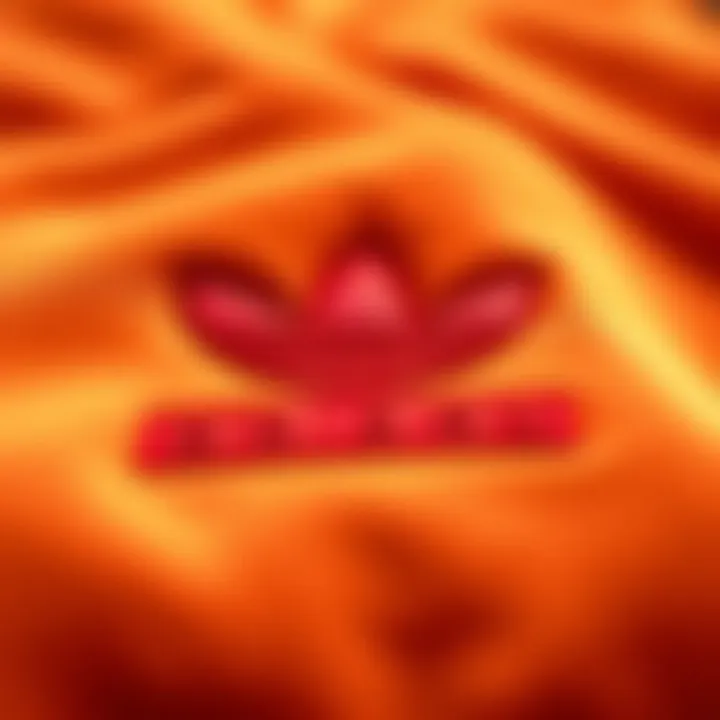 Detailed shot of the adidas logo on the velvet jacket