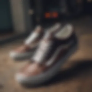 Unique Design Elements of Vans Shoes Stylish Vans shoes showcasing unique design elements