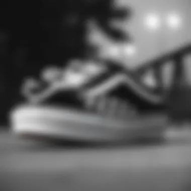 Classic black and white Vans showcasing their design