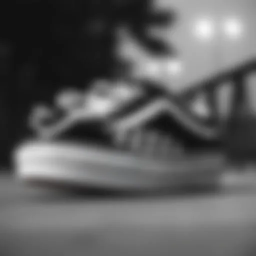 Classic black and white Vans showcasing their design