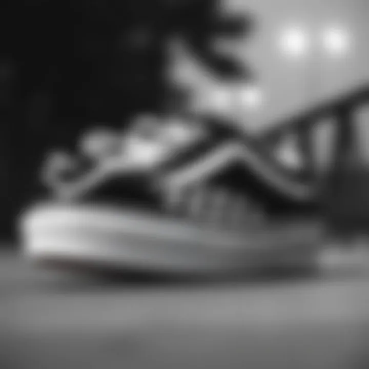 Classic black and white Vans showcasing their design