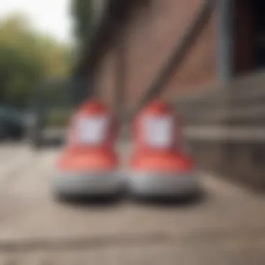 An assortment of classic Vans in various colors displayed on a skateboarding ramp.