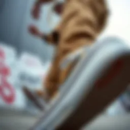 Comprehensive Guide to Vans Coupon Codes Introduction