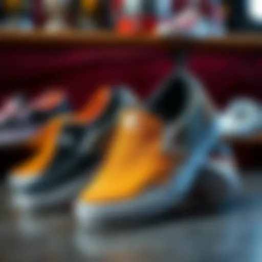 DC slip ons showcasing various designs and colors