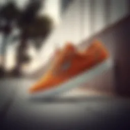 Stylish Emerica Figueroa skate shoes in brown and gum