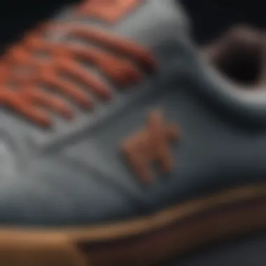 Design Aesthetics of Etnies Mike Vallely Shoes Close-up of the design details of Etnies Mike Vallely shoes