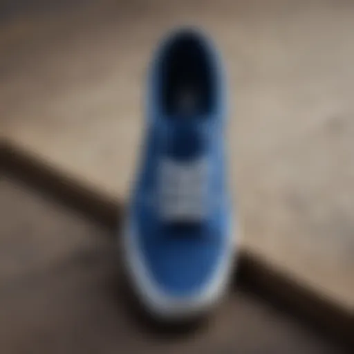 Classic blue Vans silhouette showcasing iconic design elements