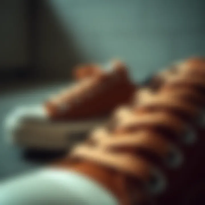 Texture and Materials of Brown Converse Shoes Close-up of the texture and materials used in brown Converse shoes