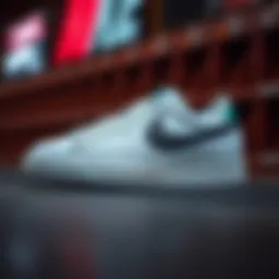 Nike Zoom Blazer Low Pro GT showcasing its sleek design