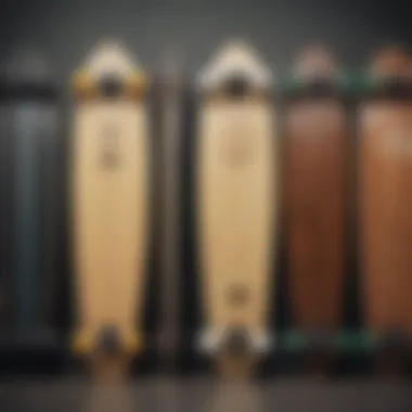 Different models of Rayne long boards lined up