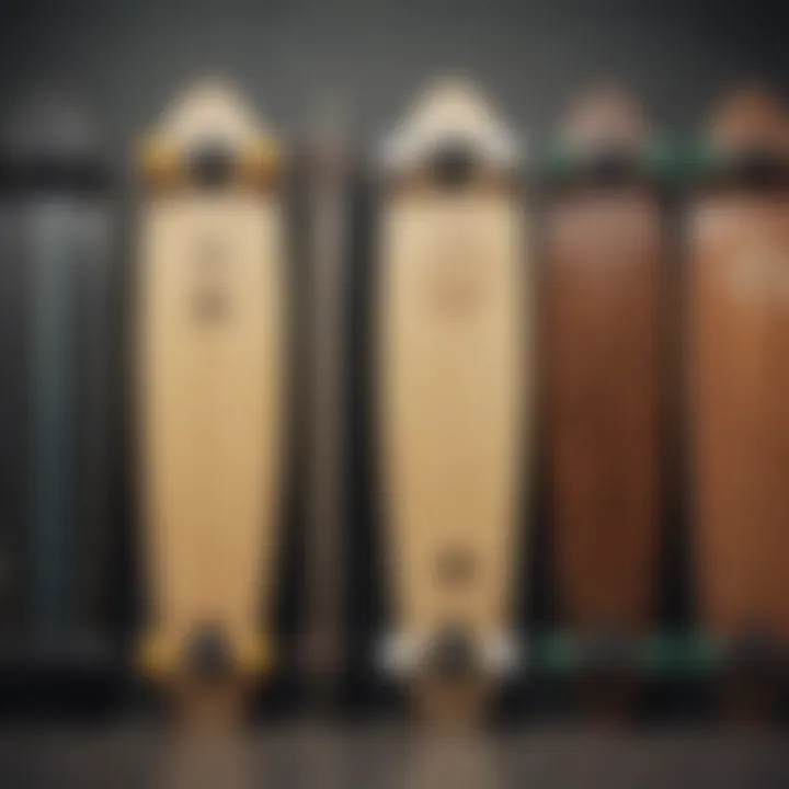 Different models of Rayne long boards lined up