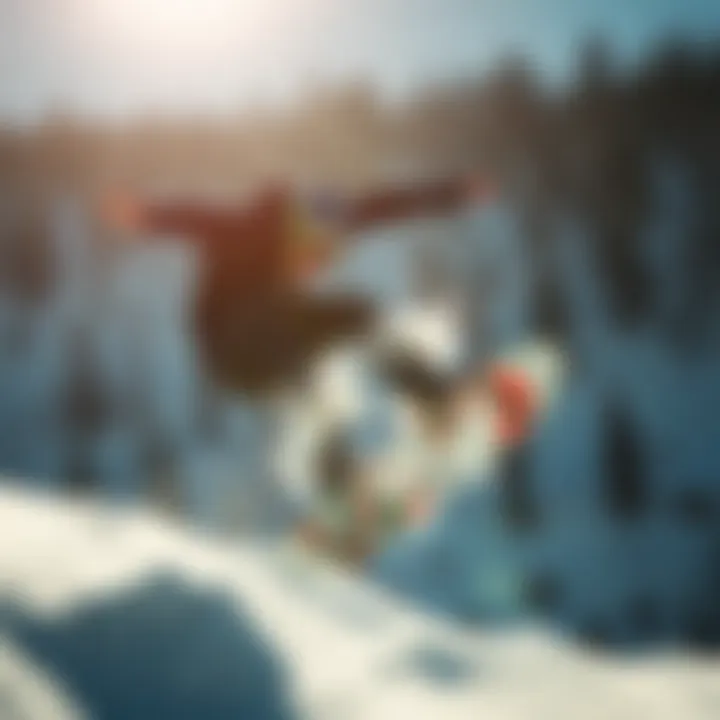 Exploring the Bataleon Wallie: An In-Depth Analysis Summary