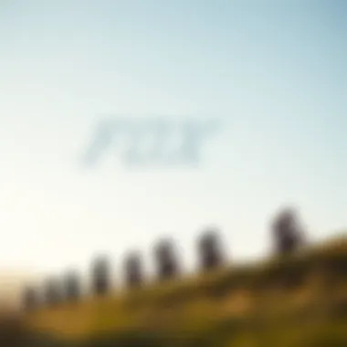 Evolution of Fox Racing Historical timeline illustrating the evolution of the Fox Racing brand.