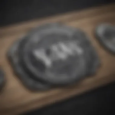 The Collaboration Logo of Vans and Sketchy Tank Vans and Sketchy Tank logo collaboration
