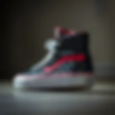 User reviews and feedback on Vans Slayer Sk8 Hi