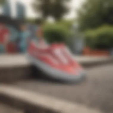 Vans platform sneakers in an urban skate park setting