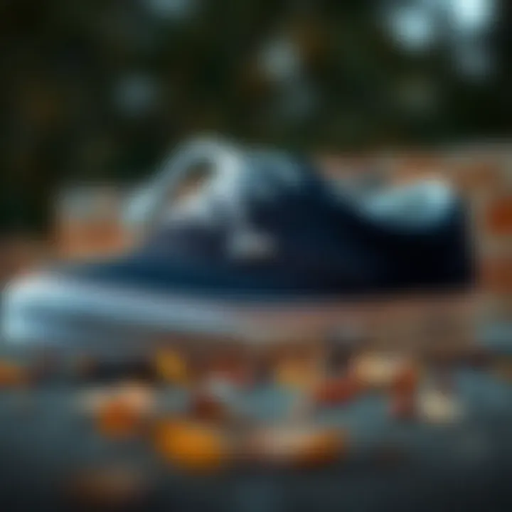 Care Instructions for Your Vans Shoes Care instructions for maintaining Vans shoes