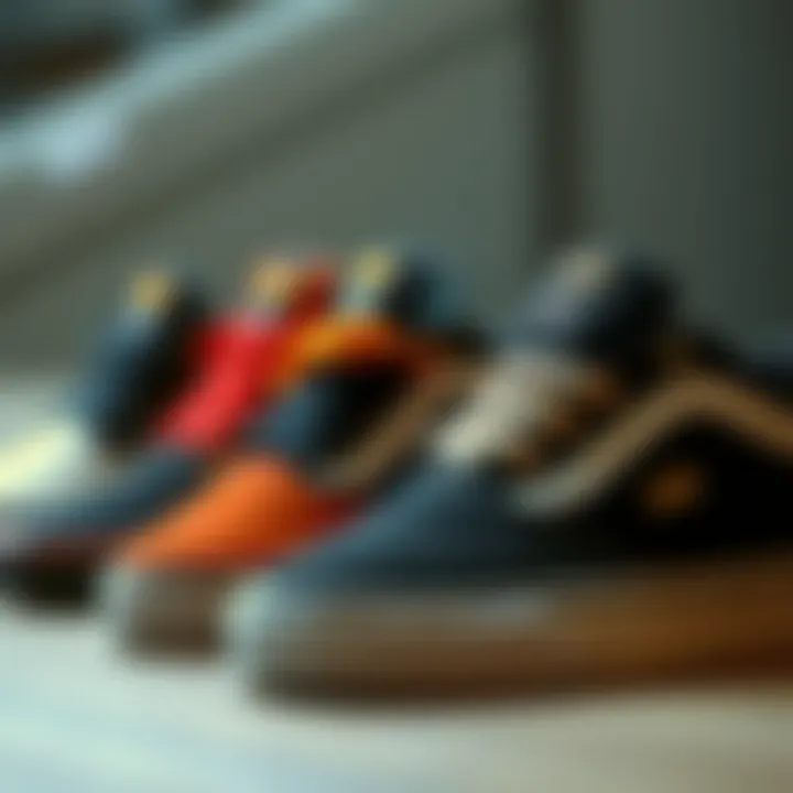 Comparison of different Velcro Vans models showcasing design diversity