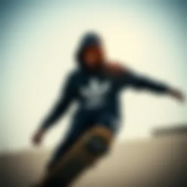 Kader Sylla and Adidas: A Synergy in Skateboarding Culture Summary Kader Sylla and Adidas: A Synergy in Skateboarding Culture Summary