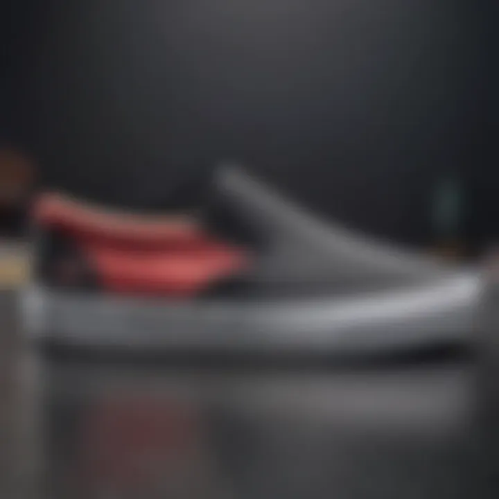 Side view of Lakai slip-on shoe emphasizing its sleek design