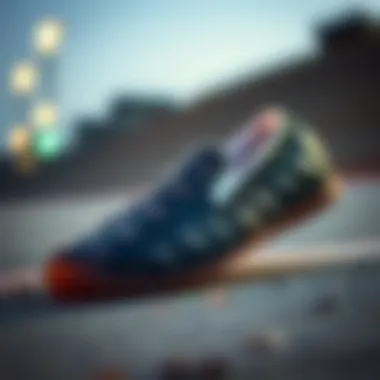 Lakai Slippers: A Comprehensive Exploration Summary