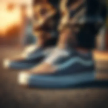 Highlighting Comfort and Performance in Vans Vans shoes highlighting comfort and performance