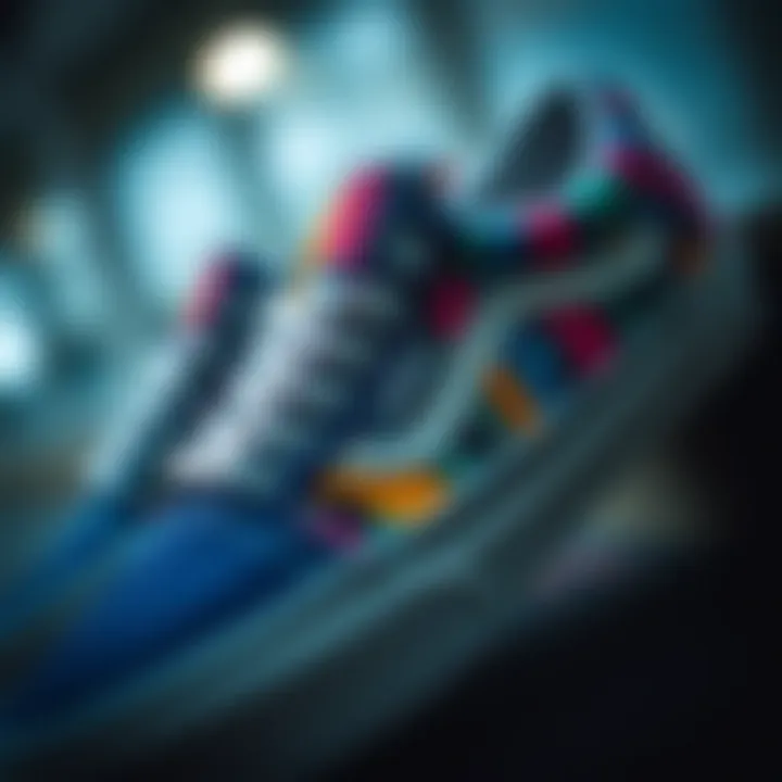 Design Details of Multicolor Vans A close-up view highlighting the unique design details of Vans.