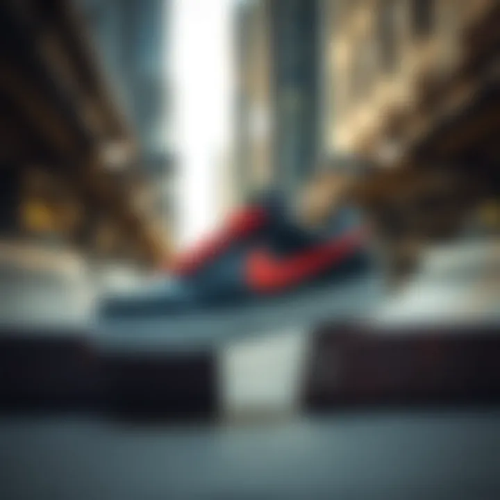 Nike Shane in Urban Skate Culture Nike Shane displayed in an urban skate park setting