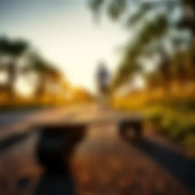 A scenic view of a penny board on a sunlit pathway