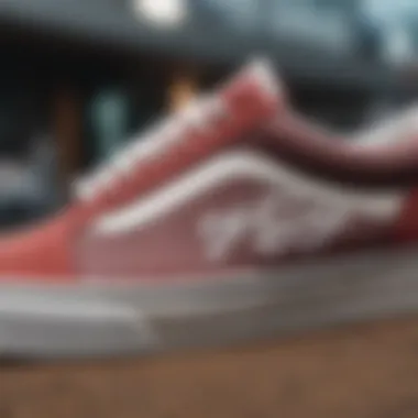 Close-up of Vans Old Skool shoe design details