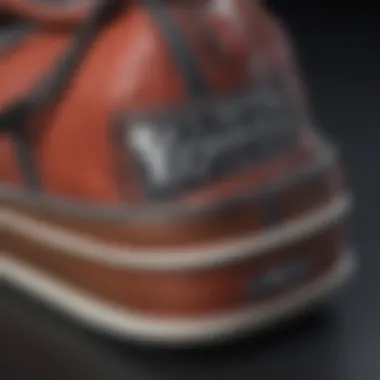 Close-up of innovative features in a Vans bag