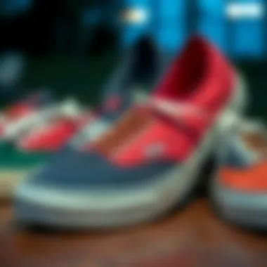 Diverse Styles of Vans Canvas Shoes Variety of Vans canvas shoe styles