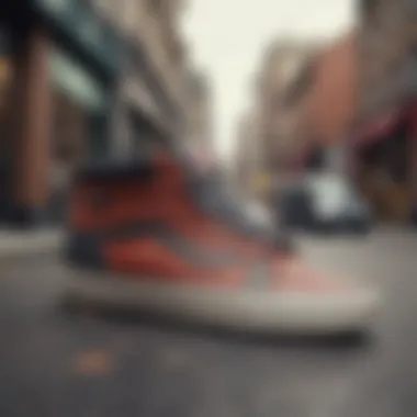 Vans Half Cab in Modern Street Fashion Vans Half Cab integrated into contemporary street fashion