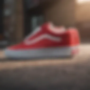 Care Instructions for Vans Old Skool White Red Vans Old Skool White Red demonstration of care instructions.